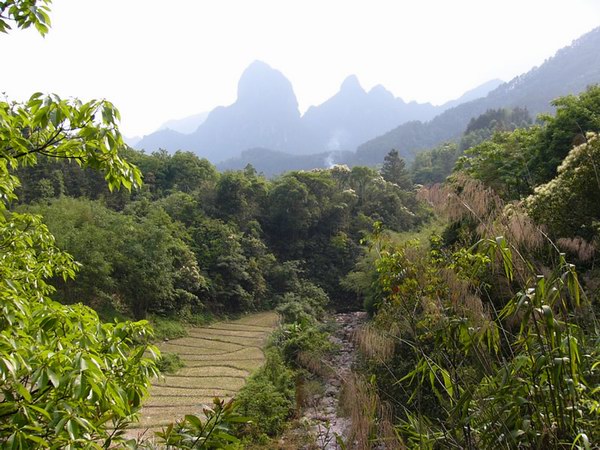 大平山风景之一