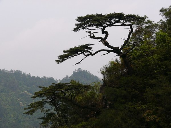 b>      ssi          b>   名称: 大平山风景之六 产地: 桂平