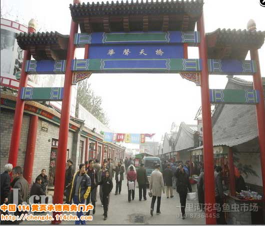 北京花鸟鱼虫市场