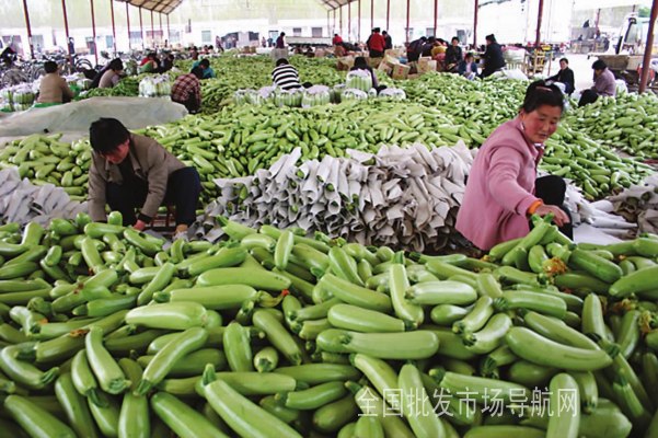 河北沧州蔬菜农产品批发市场大全